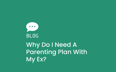 Why do I need a parenting plan with my ex?