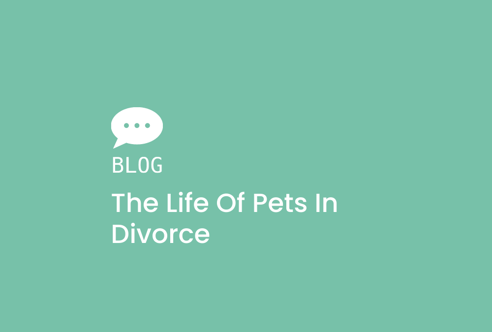 The life of Pets in Divorce