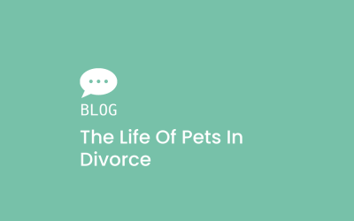 The life of Pets in Divorce