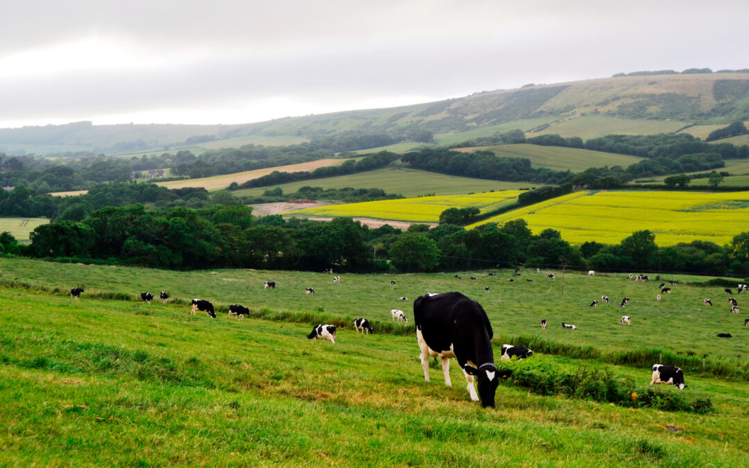 Dividing assets in farming divorce cases