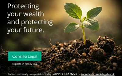How Wealth Is Really Divided in a High-Net-Worth Divorce: Week 2