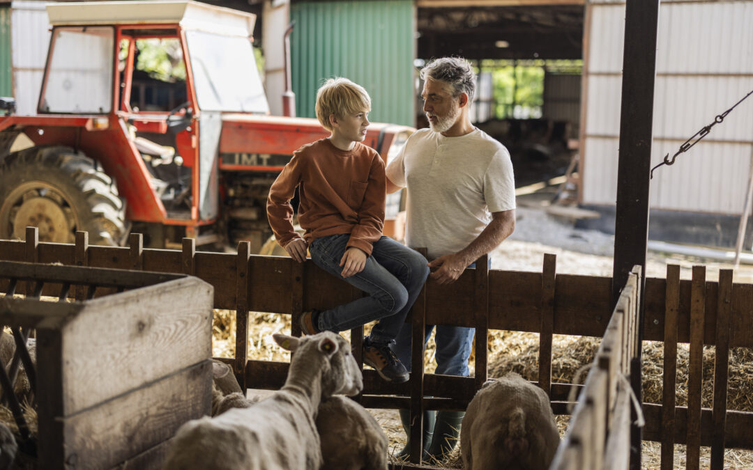 Could divorce put a family farm at risk